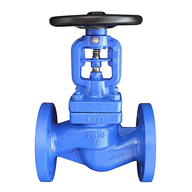PN16 globe valve